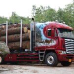 Freightliner vooras