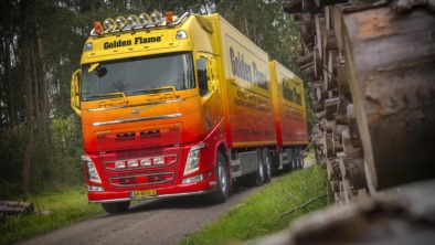 660_2015_Golden_Flame_001