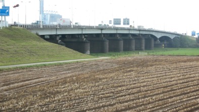 A12