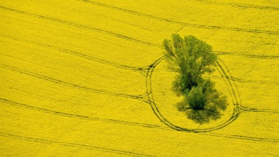 GERMANY AGRICULTURE