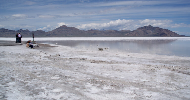 Koeien, zoutvlakten, een fraaie testtruck