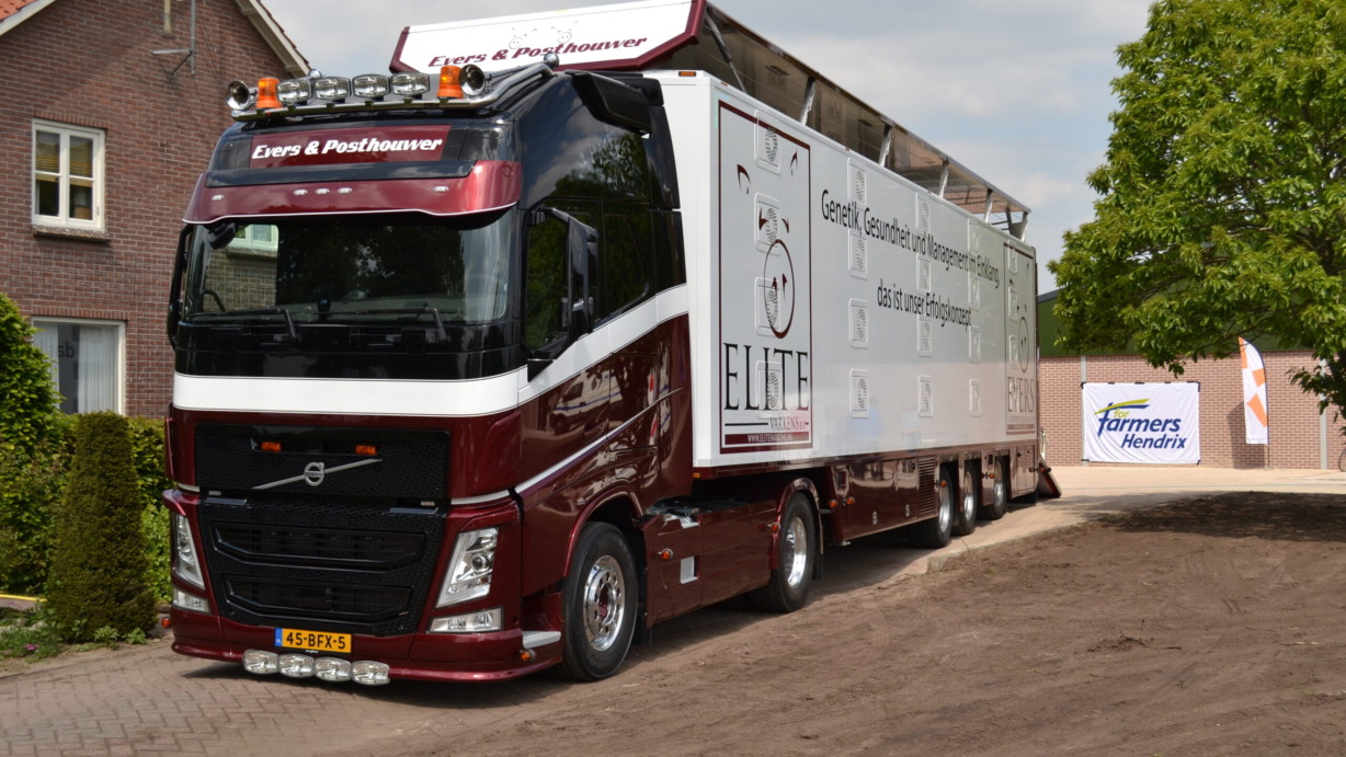 Evers1