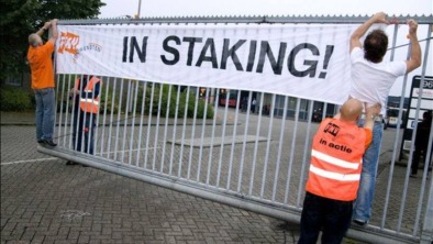 FNV_Staking.570x380_q85_crop