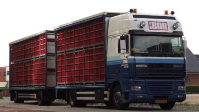 Pluimveetransport