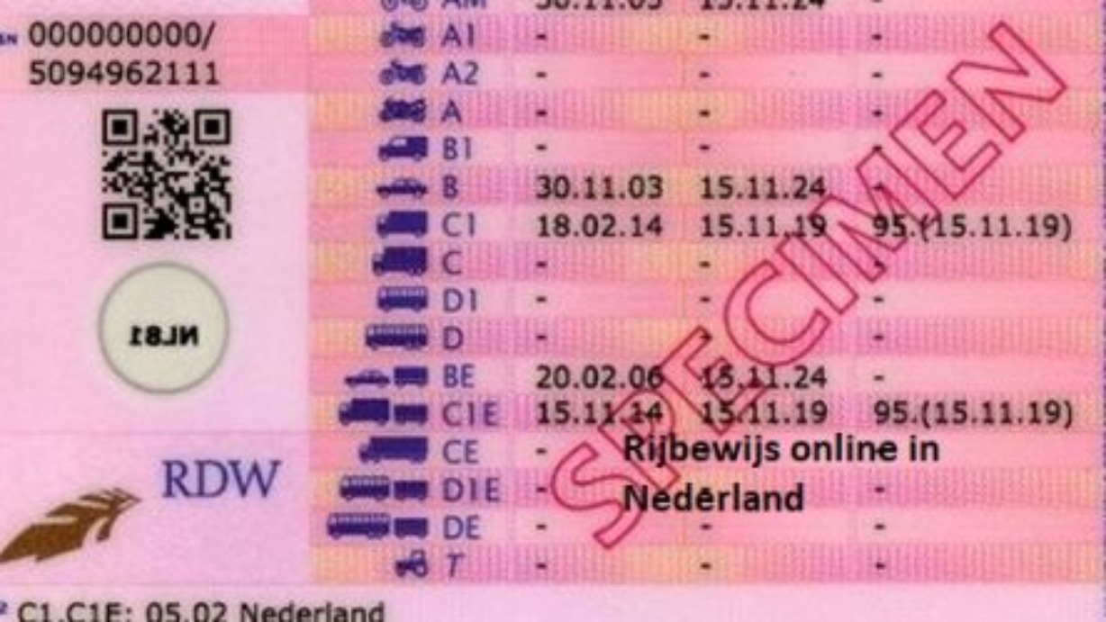 Rijbewijs-online-in-Nederland-13-500×250