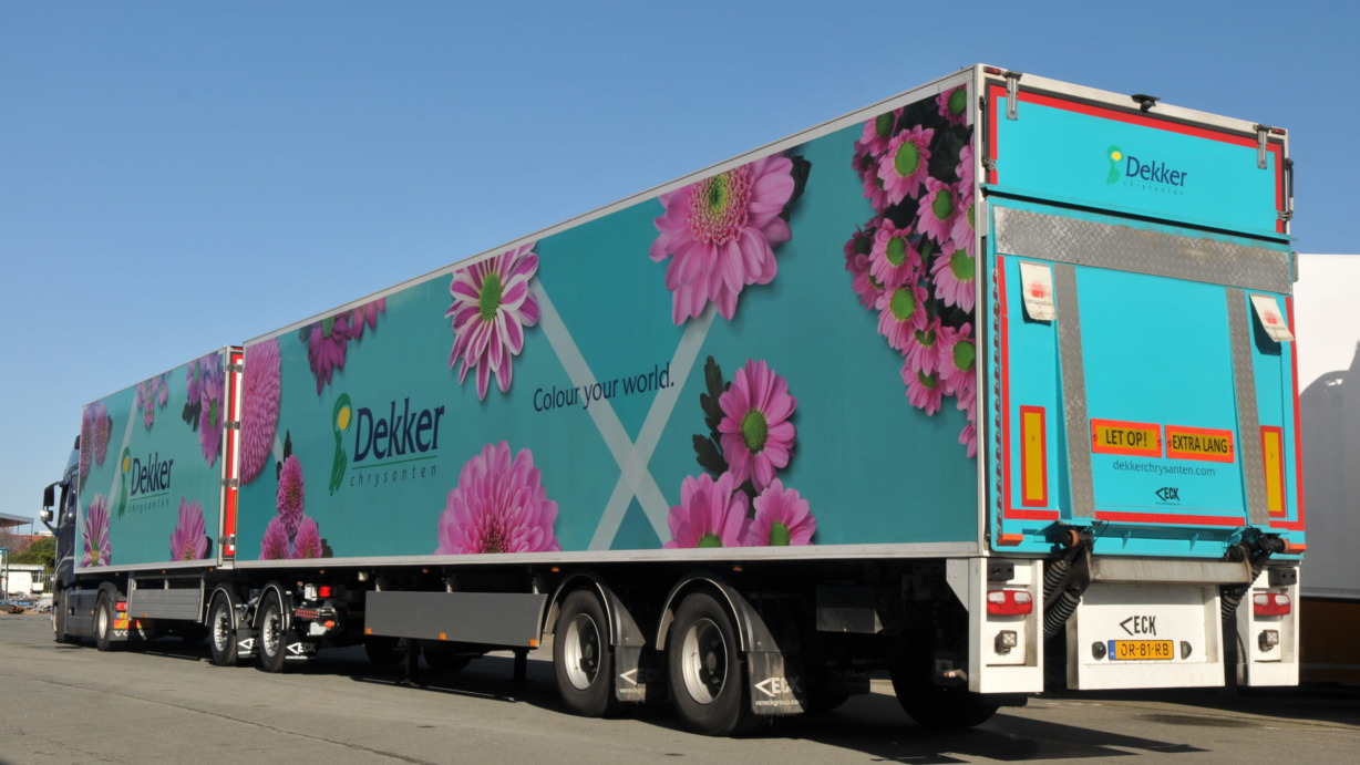 Van-Eck-Dekker-Chrysanten1