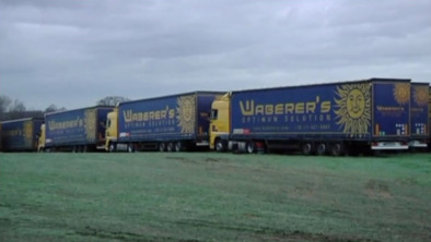 Waberers_opglabeek