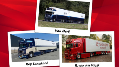cat-1-header-site