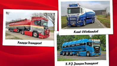 cat-6-header-site