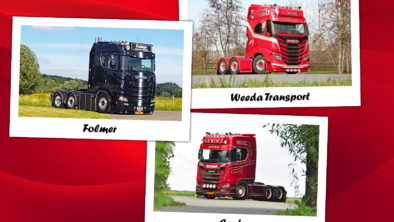 cat-8-header-site
