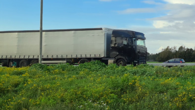 daf-5