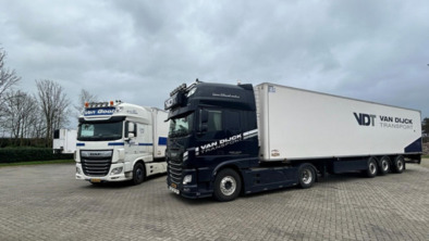 dijck