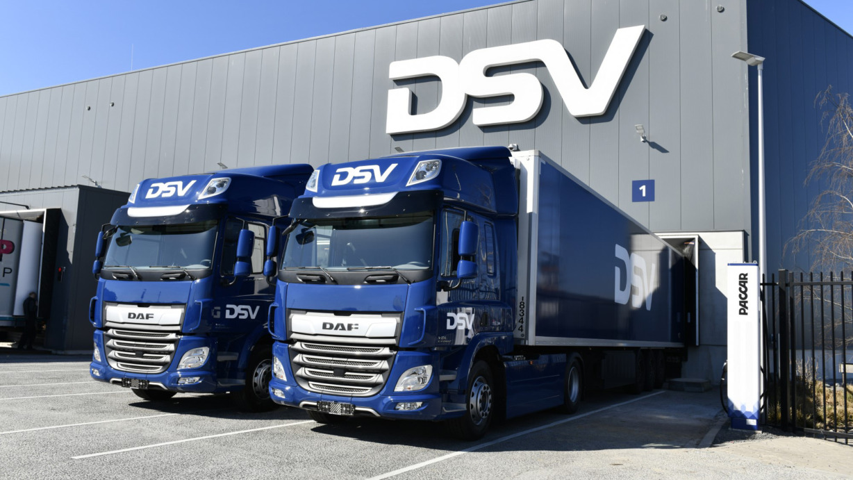 dsv-header