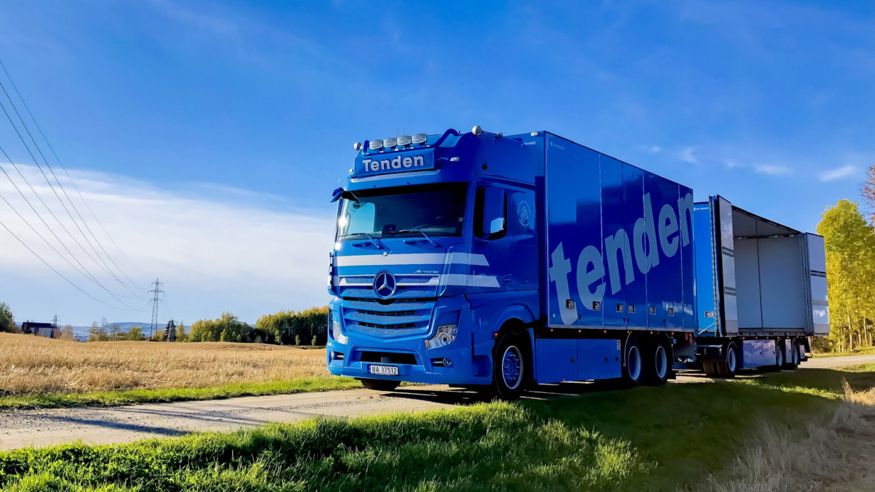 tenden-1