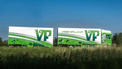 veenplant-header