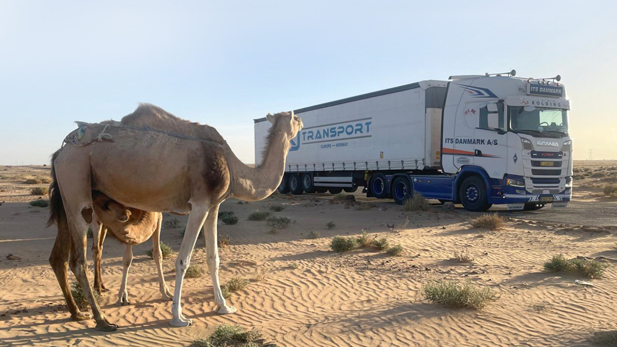 DKJ Transport