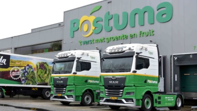 Postuma